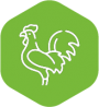 souverain